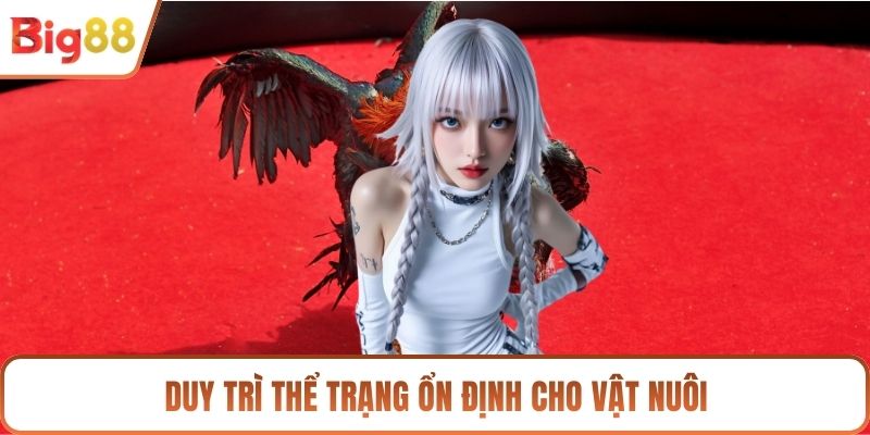 Duy trì thể trạng ổn định cho vật nuôi