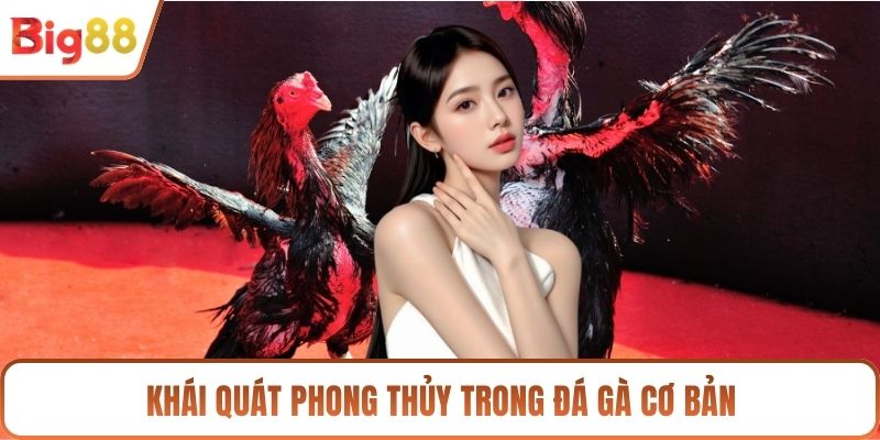 Khái quát phong thủy trong đá gà cơ bản
