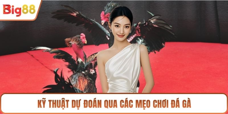 Kỹ thuật dự đoán qua các mẹo chơi đá gà