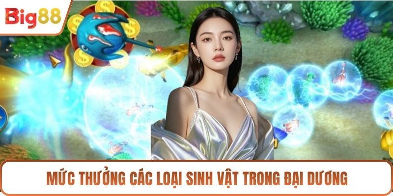 Mức thưởng các loại sinh vật trong đại dương