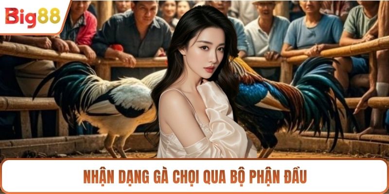 Nhận dạng gà chọi qua bộ phận đầu