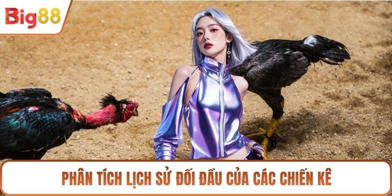 Phân tích lịch sử đối đầu của các chiến kê