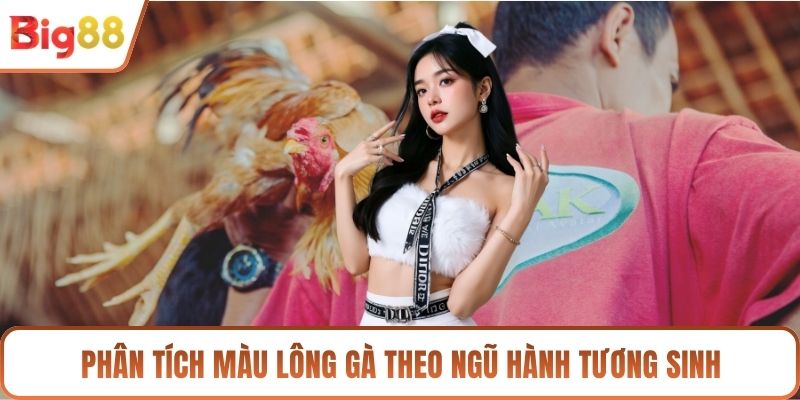 Phân tích màu lông gà theo ngũ hành tương sinh