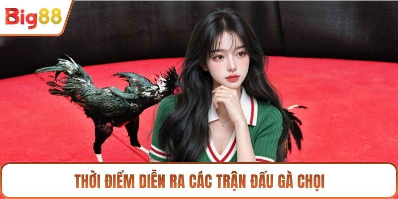 Thời điểm diễn ra các trận đấu gà chọi
