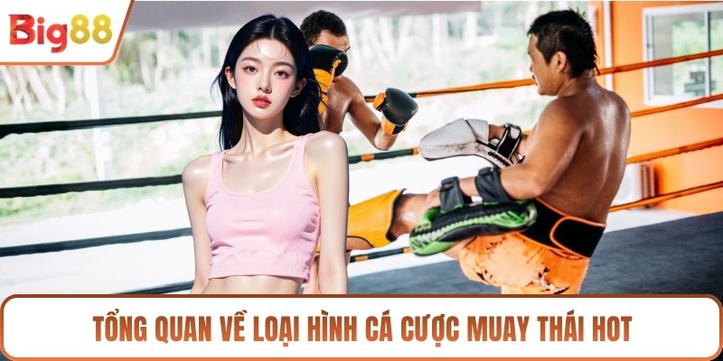 Tổng quan về loại hình cá cược Muay Thái hot