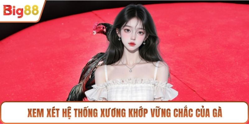Xem xét hệ thống xương khớp vững chắc của gà